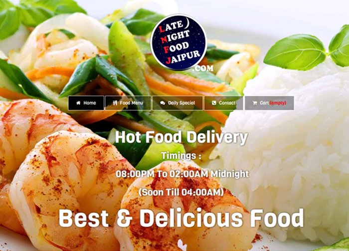 latenightfoodjaipur.com