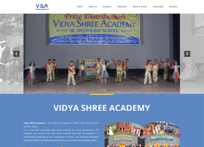 vsajaipur.com